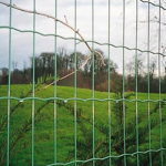 Welded Wire Fence