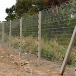 Razor Barbed Wire