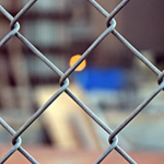 Chain Link Fence